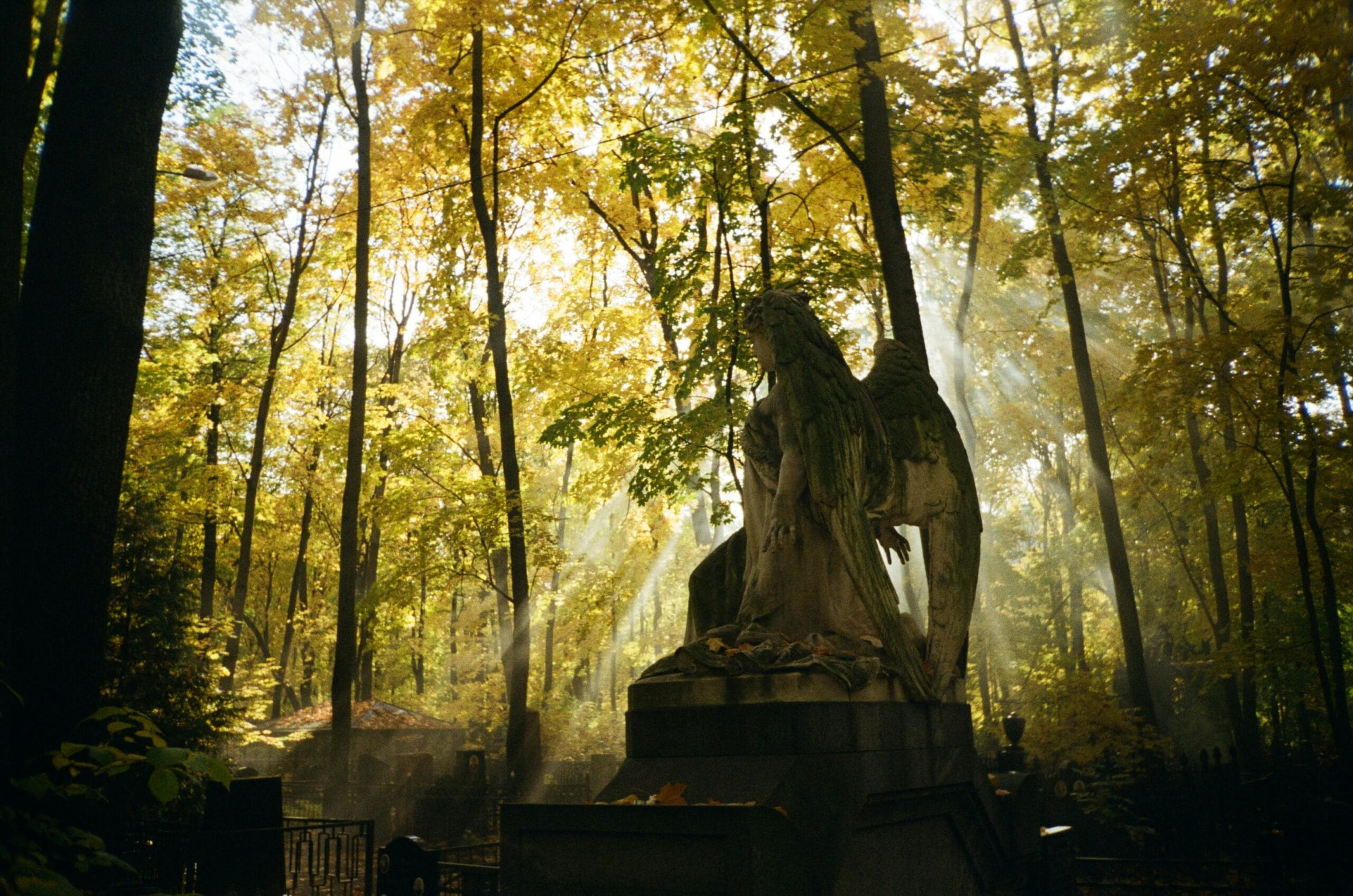 ememorial garden digital cemetery